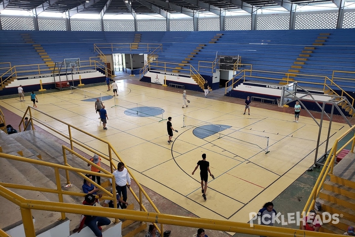 Photo of Pickleball at Estadio de Los Naranjos Gymnasium